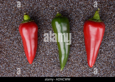 Three Chili Peppers, red and green on blue Poppy Seeds Pointing downwards. Stock Photo