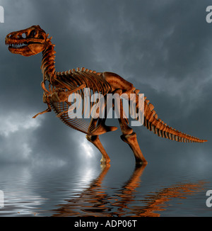 computer generated concept of a prehistoric dinosaur skeleton  in a shallow lake Stock Photo