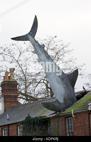 Unusual Strange Great White shark figure whacky art plunged through roof of house in suburban street Oxfordshire UK Stock Photo
