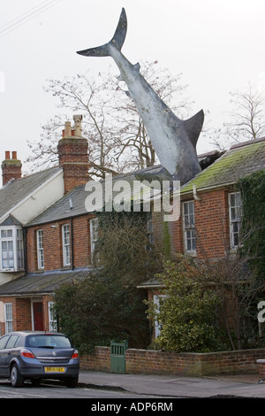 Unusual Strange Great White shark figure whacky art plunged through roof of house in suburban street Oxfordshire UK Stock Photo