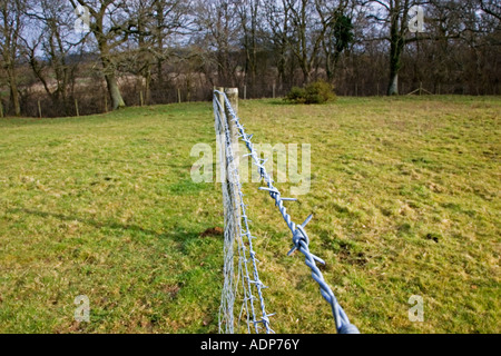 Barbed wire fence in Oxfordshire field Bruern The Cotswolds United Kingdom Stock Photo