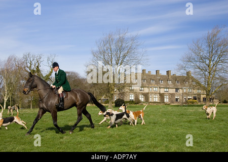 Member of Heythrop Hunt rides with foxhounds at traditional Hunt Meet on Swinbrook House Estate in Oxfordshire United Kingdom Stock Photo
