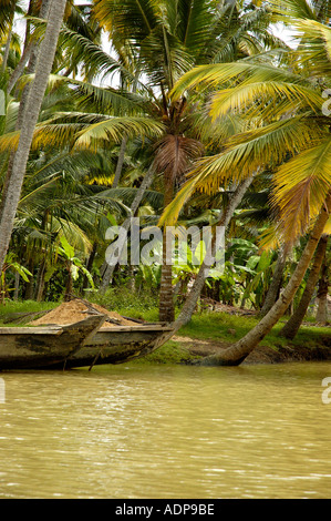 Boat Backwaters lined by coconut palm trees Trivandrum Thiruvananthapuram Kerala India Stock Photo