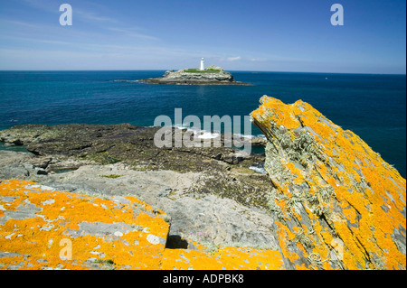 lichens growing on rocks and Godrevy Island lighthouse, near Camborne, Cornwall, UK Stock Photo