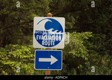 Sign showing the evacuation route to take in case of a tsunami alert Stock Photo