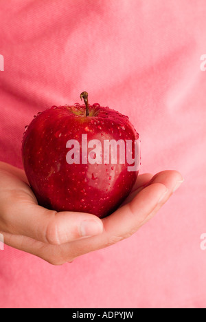 One female hand holding a ripe delicious red apple looking sinfully good Stock Photo
