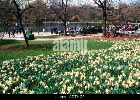 Central Park New York City People sitting around The Boat Pond, orThe Conservatory Water, Boat Basin. Daffodils growing in early The spring. USA Stock Photo