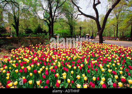 New York Central Park Literary Walk Poets and Writers flowerbed of tulips at the south end of The Mall or The Promenade New York City, USA Stock Photo