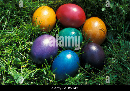 easter eggs in green grass Stock Photo