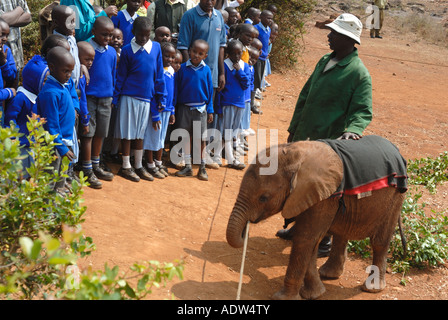 A charming group of young primary school children meeting a baby elephant calf at the David Sheldrick Orphanage Nairobi Kenya Stock Photo