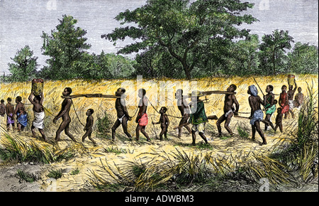 Captured Africans to be sold as slaves. Hand-colored woodcut Stock Photo