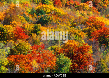 Canada Ontario Kimberly Beaver Valley Stock Photo