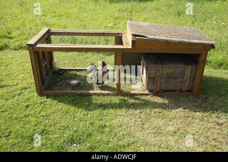 A chicken hutch on the lawn, Hampshire, England. Stock Photo