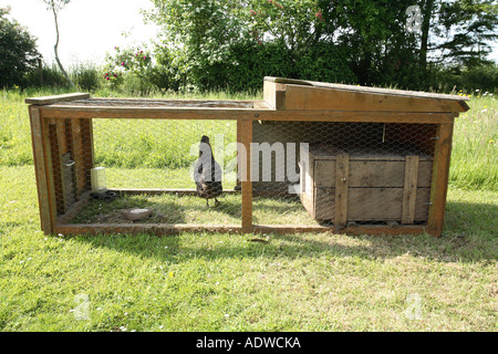 A chicken hutch on the lawn, Hampshire, England. Stock Photo