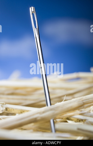 Detailed view of needle in a haystack Stock Photo