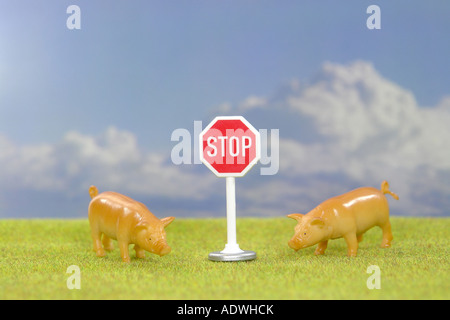 symbolic image embargo on imports for Swines Foot and mouth disease Swine Fewer Stock Photo