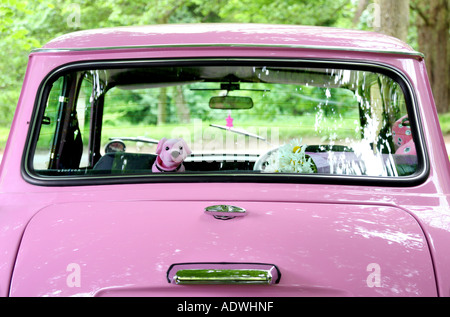 Rear of pink mini with pink nodding dog on parcel shelf Stock Photo