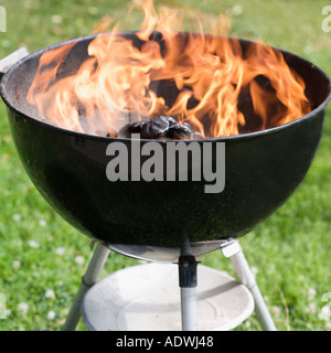 Charcoal burning in a grill Stock Photo