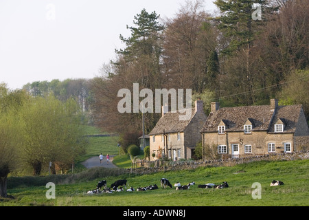 Two people walk past village scene of Oxfordshire cottages and Friesian cows Swinbrook The Cotswolds England United Kingdom Stock Photo