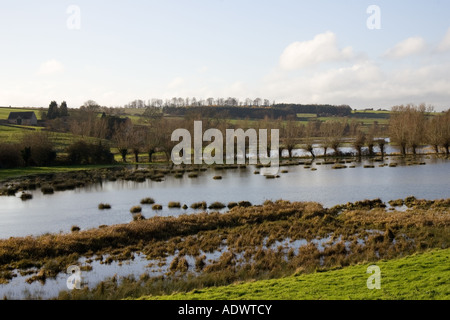Flooded meadow in Windrush Valley Burford The Cotswolds United Kingdom Stock Photo