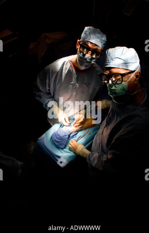 two 2 vascular surgeons look up at camera or viewer while operating on a patient Stock Photo