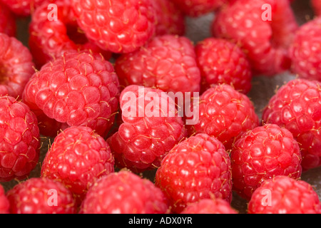 Raspeberries displayed for sale Stock Photo