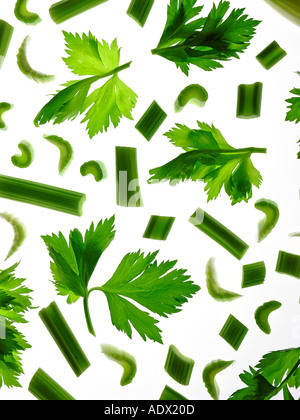 Celery Stock Photo