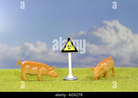 symbolic image for epidemic plague at Swines Stock Photo