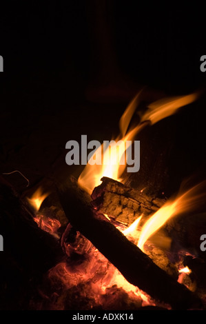 Campfire burning brightly Stock Photo