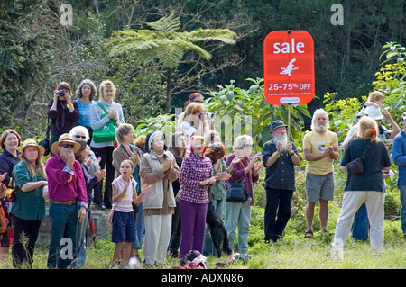 Maleny protest against the building of a Woolworths supermarket 3674 Stock Photo