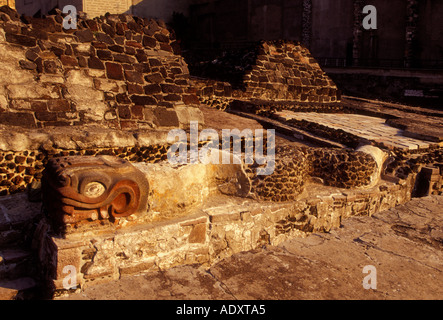 carved feathered serpent, Museo del Templo Mayor, Mexico City, Federal District, Mexico Stock Photo