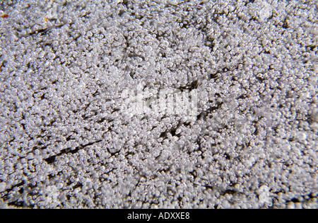 Ice formations in close-up Stock Photo