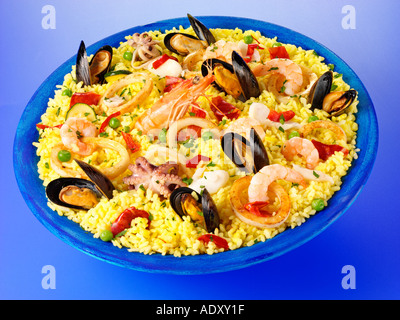 PAELLA Stock Photo