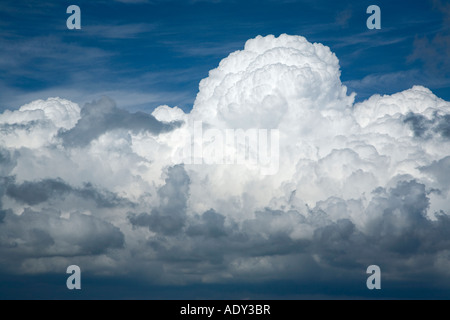 Expanding cumulonimbus cloud formation against a blue sky above Stock Photo