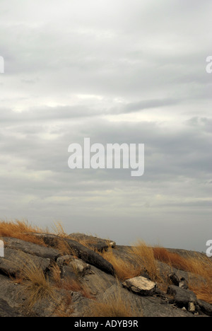 Dry Grass On Top Of A Rocky Mountain Stock Photo - Alamy