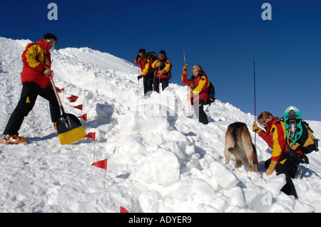 mountain rescuers searching for avalanche victims, France Stock Photo