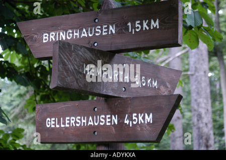 im Nationalpark Kellerwald Edersee Deutschland Stock Photo