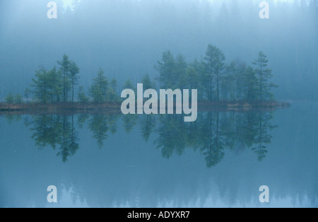 foggy wetlands at Hallands Laen Naturreservat Fegen Suedschweden South Sweden Stock Photo