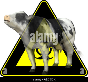 symbolic image for epidemic plague at cattle Stock Photo