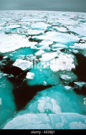drift ice pack ice ice field actic ocean Treibeis Packeis Eisfeld Arktis Ozean Svalbard Spitzbergen Norway Norwegen Stock Photo