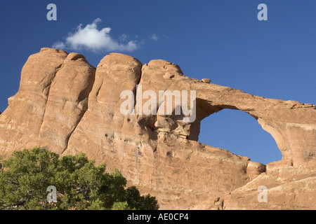 Entrada sandstone Rock Stone brown red blue Arches national park Utah USA Stock Photo