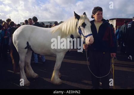 Ballinasloe Horse Fair Ballinasloe County Galway Eire Stock Photo