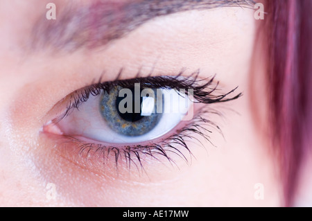 Close up of a woman's blue eye Stock Photo