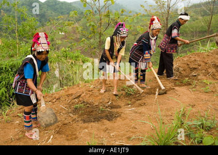 Akha people at North Thailand, growing crop. Stock Photo