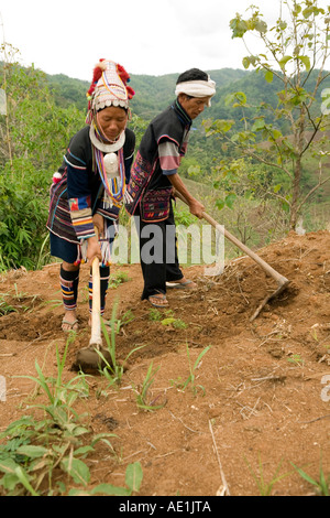 Akha people at North Thailand, growing crop. Stock Photo