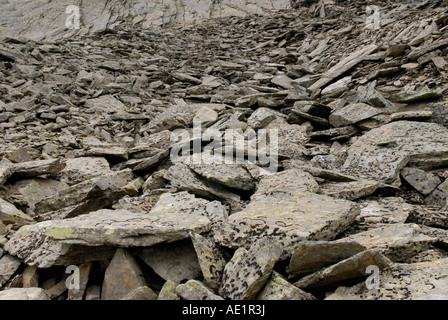 A field of talus or scree on a mountain slope Stock Photo