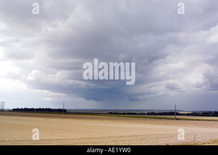 Storm of rain cloud over a wheat field, Lorraine, France Stock Photo