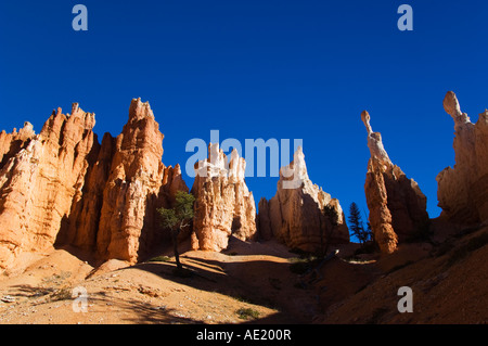 USA Utah Bryce Canyon National Park colourful rock pinnacles known as Hoodoos on the Peekaboo Loop Trail Stock Photo