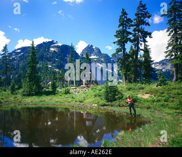 Man Fishing Mt Rainier National Park Washington State Usa Stock