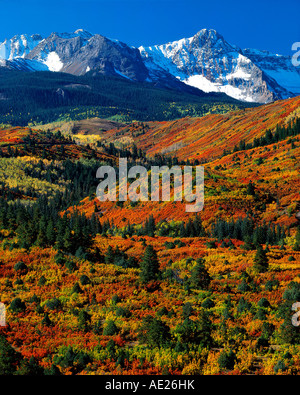 Autumn Colors Rocky Mountains  Colorado USA, by Willard Clay/Dembinsky Photo Assoc Stock Photo